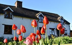 Glencoed B&B