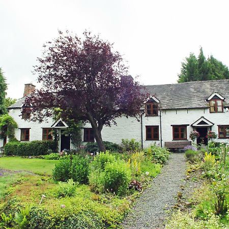 Glencoed B&B Wrexham Exterior photo