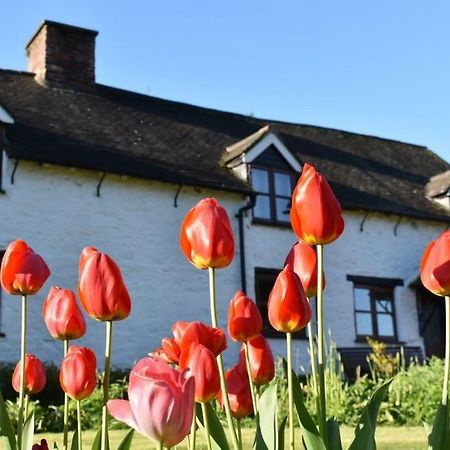 Glencoed B&B Wrexham Exterior photo