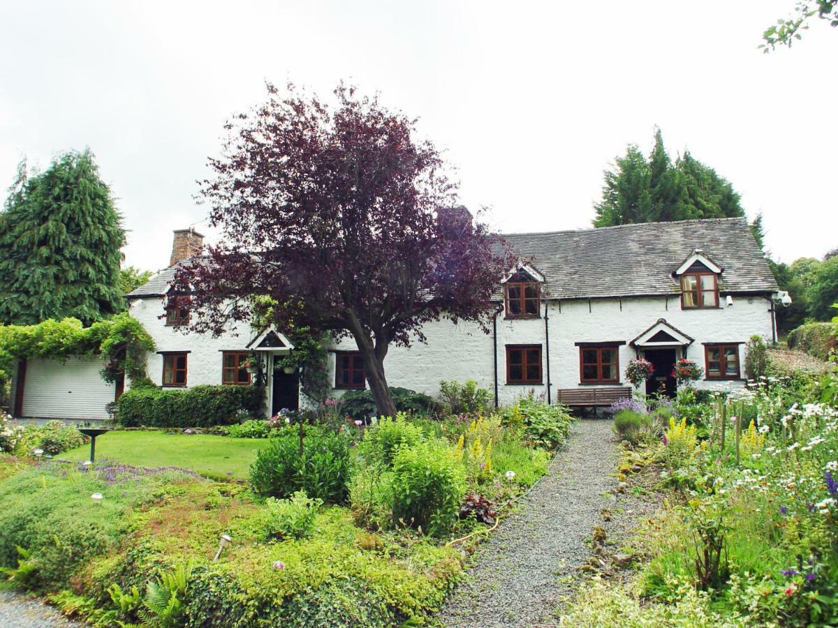 Glencoed B&B Wrexham Exterior photo
