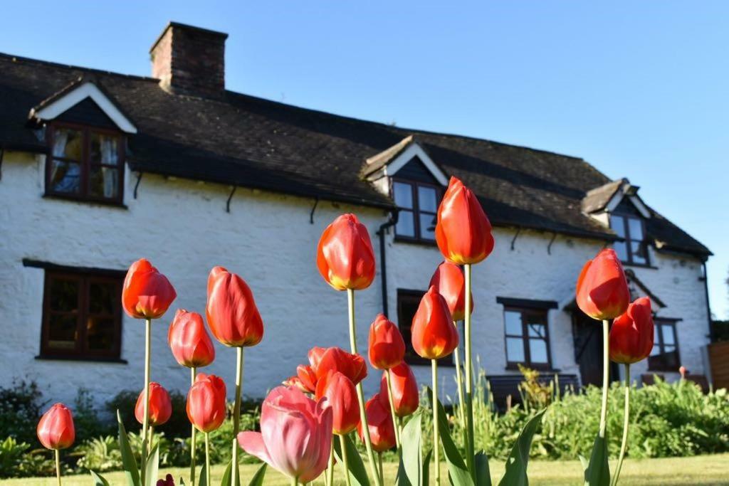 Glencoed B&B Wrexham Exterior photo